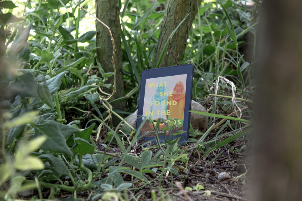 kindle ebook in the middle of the woods