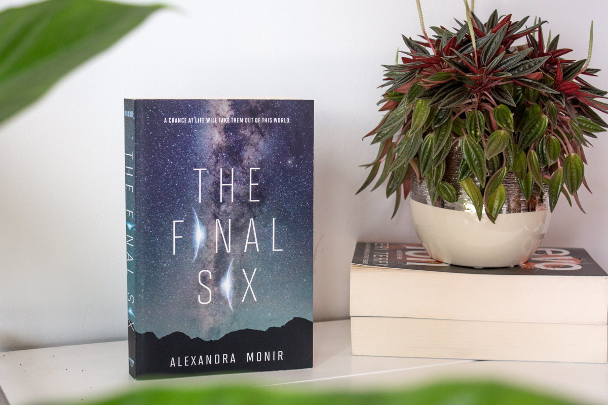 Book standing up next to a small plant.